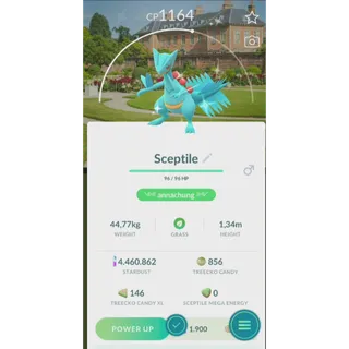 SHINY SCEPTILE NATIONAL TRUE BACKGROUND 24| FAST DELIVERY READ DESCRIPTION