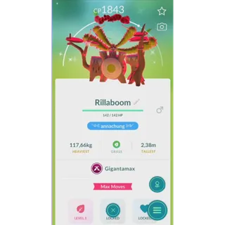 SHINY RILLABOOM GIGANTAMAX NON BACKGROUND FAST DELIVERY READ DESCRIPTION