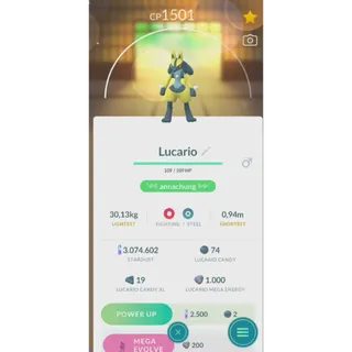 shiny lucario non background