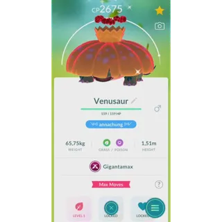 SHINY VENUSAUR GIGANTAMAX NON BACKGROUND FAST DELIVERY READ DESCRIPTION