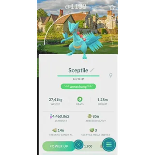 SHINY SCEPTILE NATIONAL TRUE BACKGROUND 1| FAST DELIVERY READ DESCRIPTION