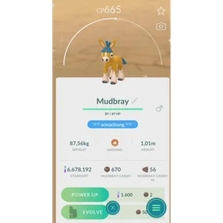 shiny mudbray non background fast delivery read description