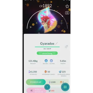 shiny gyarados mega background( trade 20k stardusst) fast delivery read description