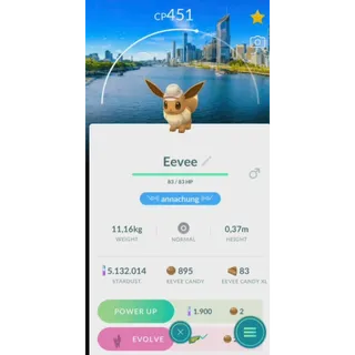 5 Eevee Brisbane Background fast delivery read description