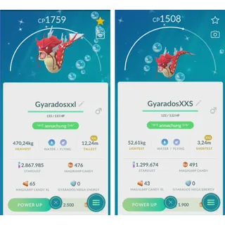 TRADE COMBO GYARADOS XXL&XXS NON BACKGROUND