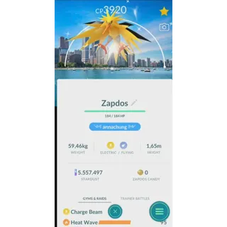Shiny Zapdos Purifiled Level 50+ 3 skills Local Chicago Background | fast delivery read description