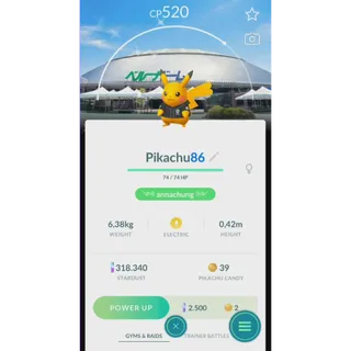 shiny pikachu saitama seibu lions BG