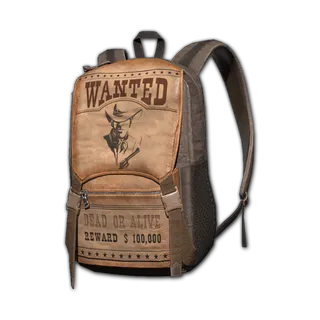 PUBG | Wanted Backpack (Level 2)