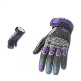The King's Gloves