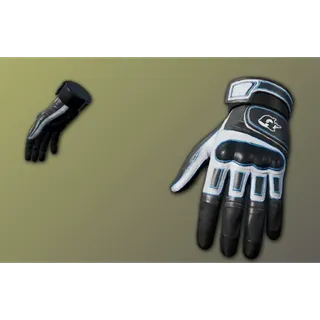 PUBG|Wanyoo Gloves 30 Days|Fast