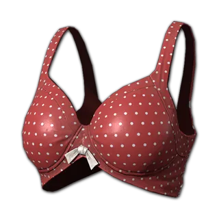 PUBG | Polka Dot Crop Top (Red) | Fast