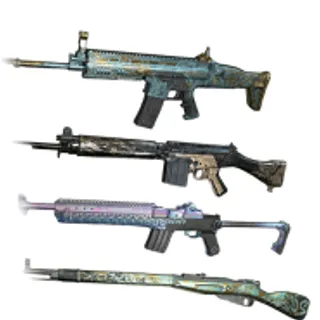 PGIS WEAPON SET (SLR)