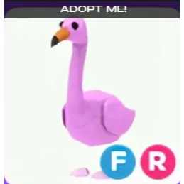 FR Flamingo