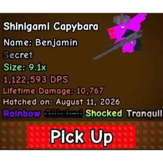 CAPYBARA VS PLANTS  Shinigami 1.1 M dps