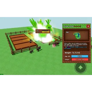 48 Secs Semi Titanic Rainbow Peacock 72.72KG