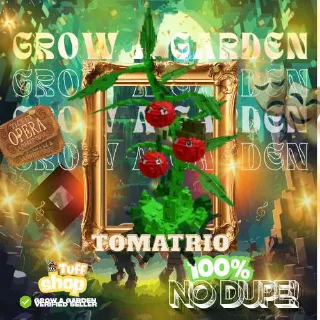 10x Tomatrio