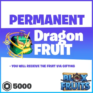 Dragon Fruit Blox Fruits