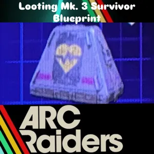 Looting Mk. 3 Survivor