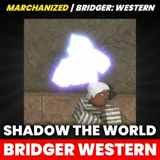 SHADOW THE WORLD | BRIDGER WESTERN