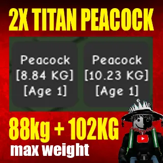 2X TITANIC PEACOCK