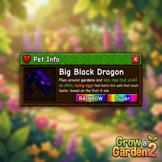 BIG RAINBOW BLACK DRAGON