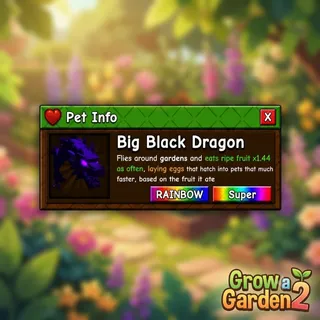 BIG RAINBOW BLACK DRAGON