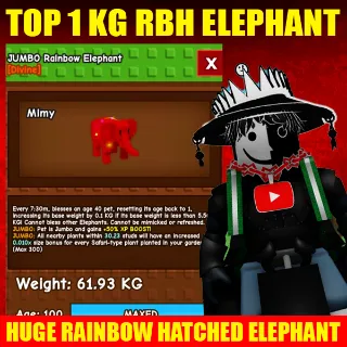 HUGE RAINBOW HATCHED ELEPHANT (TOP 1)