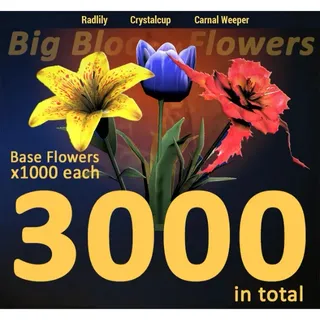 3000 Flowers Bundle