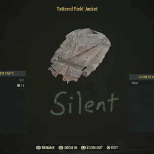 tattered field jacket