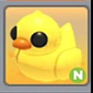 RUBBER DUCKY | NEON