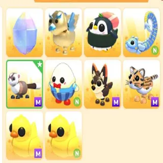 ADM PETS | TAKE ALL