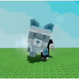 Shiny Racoon (Grow A Garden) SALE