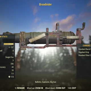Dev Weapon | LVL 45 | NPC Broadsider |