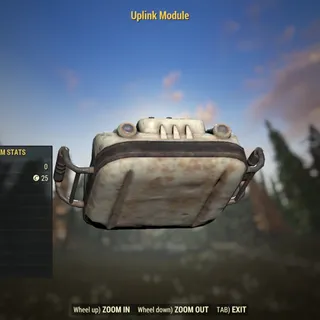 Rare Misc | Uplink Module | Displayable |
