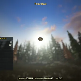 Rare Misc | Prime Meat | Displayable |