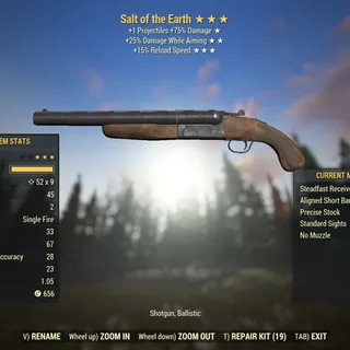 Survival | LVL 45 | Salt of the Earth | ★ Two Shot ★★ Hitman's ★★★ Swift |