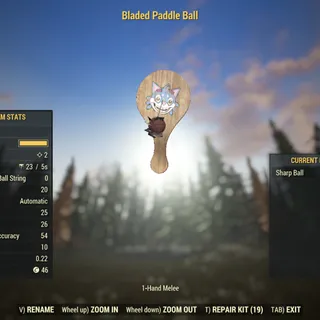 Dev Weapon | LVL 5 | Bladed Paddle Ball |