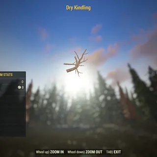 Rare Misc | Dry Kindling | Not Displayable |