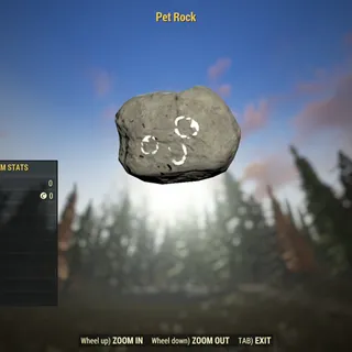 Rare Misc | Pet Rock | Displayable |