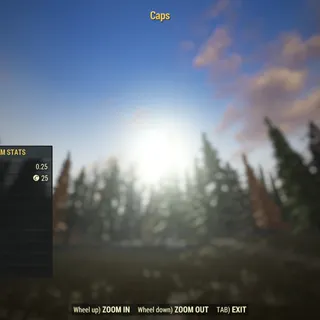 Rare Misc | Caps | Not Displayable |