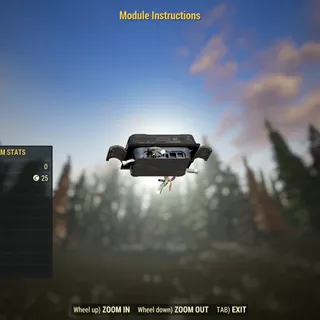 Rare Misc | Module Instructions | Displayable |