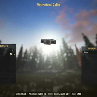 Dev Apparel | Motivational Collar | 
