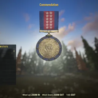 Rare Misc | Commendation | Displayable |
