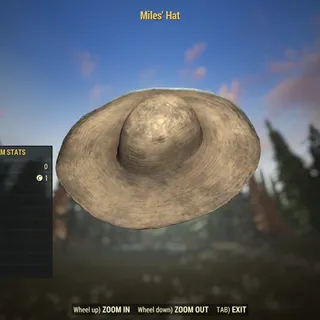Rare Misc | Miles' Hat | Not Displayable |