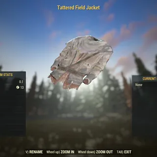 Rare Apparel | Tattered Field Jacket | 