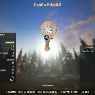 Dev Weapon | LVL 5 | Electrified Paddle Ball |