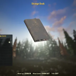 Rare Misc | Strange Book |  Displayable |