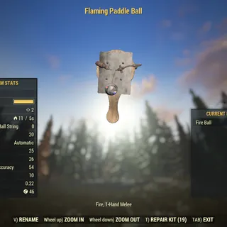 Dev Weapon | LVL 5 | Flaming Paddle Ball |