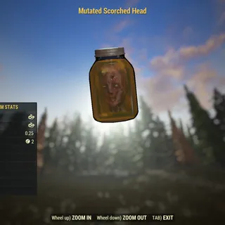 Dev Junk | Mutated Scorched Head | Displayable |