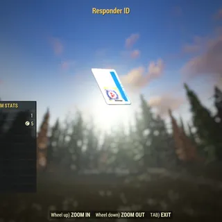 Rare Misc | Responder ID | Displayable |